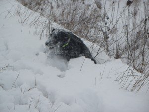 DSCF3640